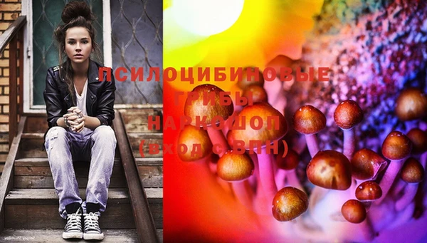 шишки Балахна