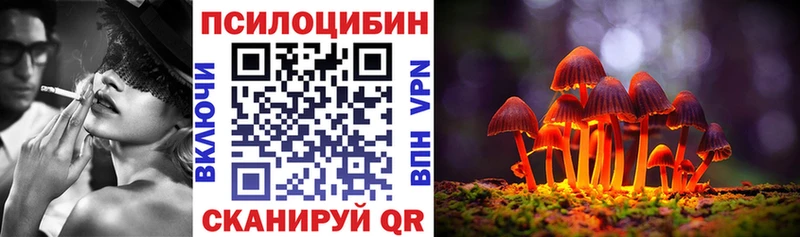 Галлюциногенные грибы Psilocybe хочу Свирск