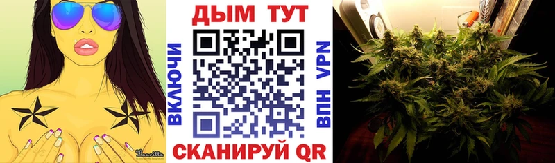 мега ссылка где купить shop наркотические препараты Конопля индика Свирск